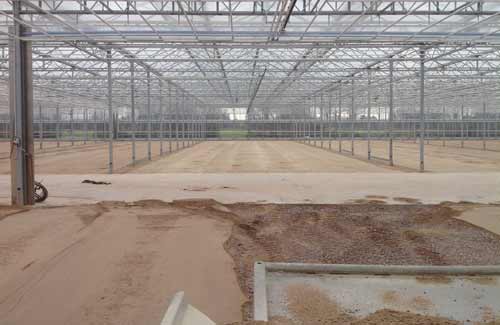 Einbau einer Sand-Bodenschicht in einem großflächigen Treibhaus.