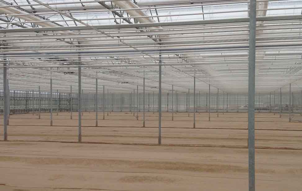 Eine Schicht Sand wird für eine Anbaufläche in einem sehr großen Treibhaus durch unsere Maschine eingebaut.